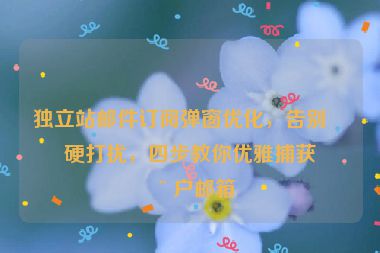 獨立站郵件訂閱彈窗優(yōu)化，告別生硬打擾，四步教你優(yōu)雅捕獲用戶郵箱