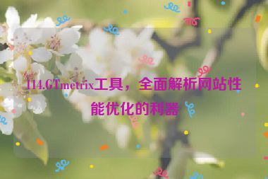 114.GTmetrix工具，全面解析網(wǎng)站性能優(yōu)化的利器
