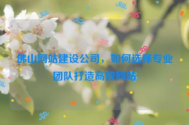 佛山網(wǎng)站建設(shè)公司，如何選擇專(zhuān)業(yè)團(tuán)隊(duì)打造高效網(wǎng)站