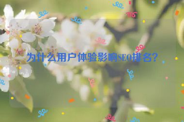 為什么用戶體驗(yàn)影響SEO排名？