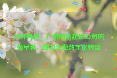 萬齊網(wǎng)絡(luò)，廣州網(wǎng)站建設(shè)公司的領(lǐng)軍者，助力企業(yè)數(shù)字化轉(zhuǎn)型