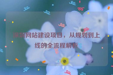 深圳網(wǎng)站建設(shè)項(xiàng)目，從規(guī)劃到上線的全流程解析