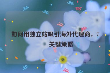 如何用獨(dú)立站吸引海外代理商，7個(gè)關(guān)鍵策略