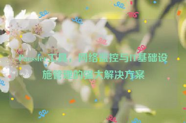 Paessler工具，網(wǎng)絡(luò)監(jiān)控與IT基礎(chǔ)設(shè)施管理的強(qiáng)大解決方案