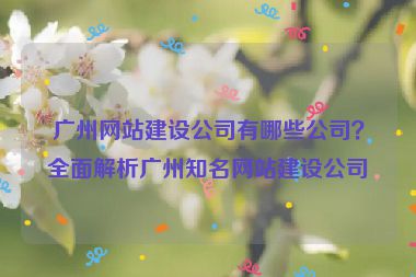 廣州網(wǎng)站建設(shè)公司有哪些公司？全面解析廣州知名網(wǎng)站建設(shè)公司