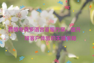 跨境電商多語言客服方案，提升全球客戶體驗(yàn)的關(guān)鍵策略