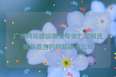廣州網(wǎng)站建設(shè)哪家專業(yè)？如何選擇最適合的網(wǎng)站建設(shè)公司