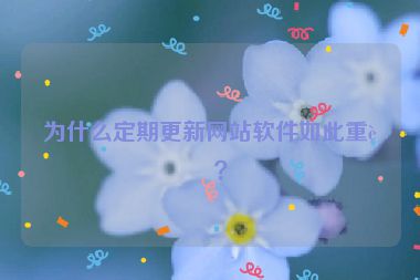 為什么定期更新網(wǎng)站軟件如此重要？