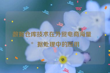 數(shù)據(jù)倉庫技術(shù)在外貿(mào)電商海量數(shù)據(jù)處理中的應(yīng)用