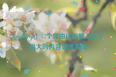 WordPress，57個理由讓你愛上這個強(qiáng)大的內(nèi)容管理系統(tǒng)
