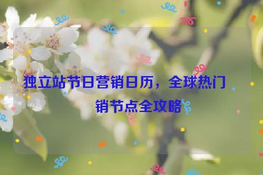 獨(dú)立站節(jié)日營銷日歷，全球熱門促銷節(jié)點(diǎn)全攻略