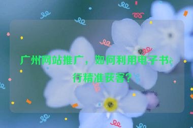 廣州網(wǎng)站推廣，如何利用電子書進行精準獲客？