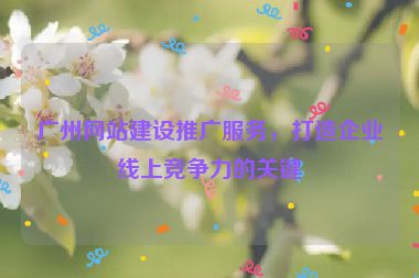 廣州網(wǎng)站建設(shè)推廣服務(wù)，打造企業(yè)線上競爭力的關(guān)鍵