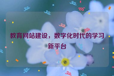 教育網(wǎng)站建設(shè)，數(shù)字化時(shí)代的學(xué)習(xí)新平臺(tái)