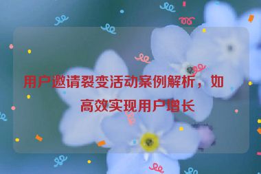 用戶邀請裂變活動案例解析，如何高效實(shí)現(xiàn)用戶增長