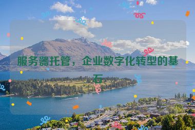 服務(wù)器托管，企業(yè)數(shù)字化轉(zhuǎn)型的基石