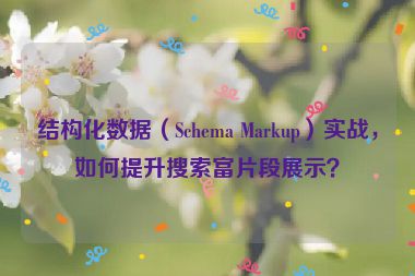 結(jié)構(gòu)化數(shù)據(jù)（Schema Markup）實(shí)戰(zhàn)，如何提升搜索富片段展示？