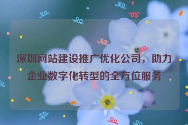 深圳網(wǎng)站建設(shè)推廣優(yōu)化公司，助力企業(yè)數(shù)字化轉(zhuǎn)型的全方位服務(wù)