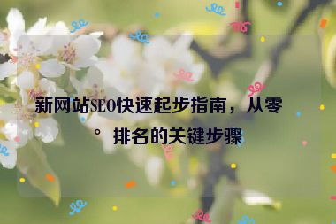 新網(wǎng)站SEO快速起步指南，從零到排名的關(guān)鍵步驟