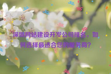 深圳網(wǎng)站建設(shè)開發(fā)公司排名，如何選擇最適合您的服務(wù)商？