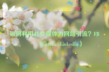 如何利用社交媒體為網(wǎng)站引流？FB、Twitter、LinkedIn）