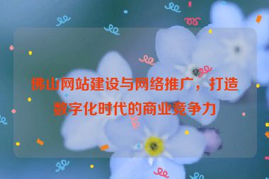 佛山網(wǎng)站建設(shè)與網(wǎng)絡(luò)推廣，打造數(shù)字化時(shí)代的商業(yè)競(jìng)爭力
