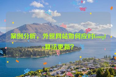 案例分析，外貿(mào)網(wǎng)站如何應(yīng)對(duì)Google算法更新？