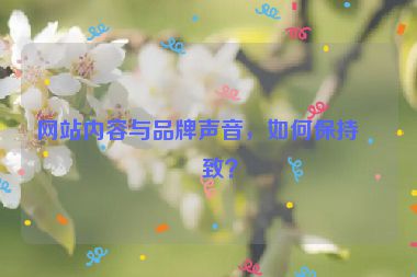 網(wǎng)站內(nèi)容與品牌聲音，如何保持一致？