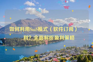 如何利用SaaS模式（軟件訂閱）盈利？全面解析盈利策略