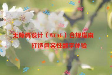 無障礙設(shè)計（WCAG）合規(guī)指南，打造包容性數(shù)字體驗