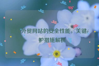 提升外貿(mào)網(wǎng)站的安全性能，關(guān)鍵防護(hù)措施解析