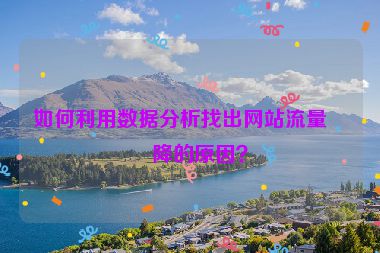 如何利用數(shù)據(jù)分析找出網(wǎng)站流量下降的原因？