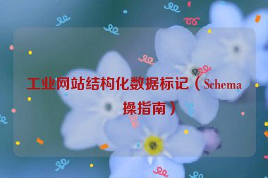 工業(yè)網(wǎng)站結(jié)構(gòu)化數(shù)據(jù)標(biāo)記（Schema實(shí)操指南）