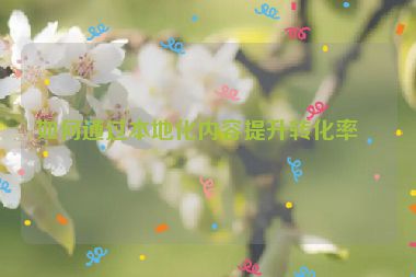 如何通過(guò)本地化內(nèi)容提升轉(zhuǎn)化率？