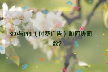SEO與PPC（付費(fèi)廣告）如何協(xié)同增效？