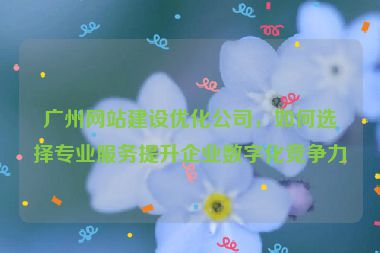 廣州網(wǎng)站建設(shè)優(yōu)化公司，如何選擇專業(yè)服務(wù)提升企業(yè)數(shù)字化競爭力