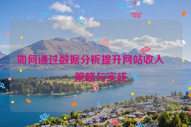 如何通過(guò)數(shù)據(jù)分析提升網(wǎng)站收入，策略與實(shí)踐