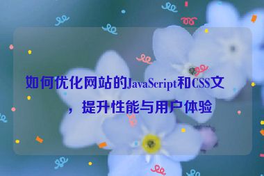 如何優(yōu)化網(wǎng)站的JavaScript和CSS文件，提升性能與用戶體驗