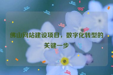 佛山網(wǎng)站建設(shè)項(xiàng)目，數(shù)字化轉(zhuǎn)型的關(guān)鍵一步