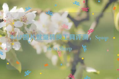 WebP圖片批量轉(zhuǎn)換工具評(píng)測(cè)，Squoosh vs Sharp