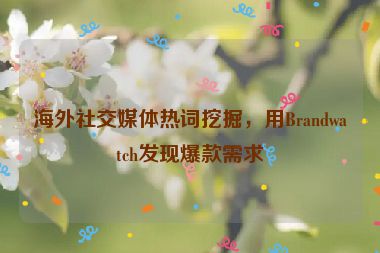 海外社交媒體熱詞挖掘，用Brandwatch發(fā)現(xiàn)爆款需求