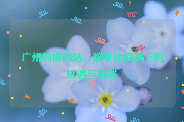 廣州的做網(wǎng)站，數(shù)字化浪潮下的機(jī)遇與挑戰(zhàn)