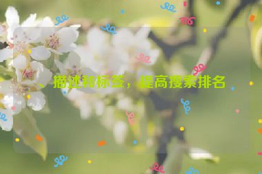 、描述和標(biāo)簽，提高搜索排名