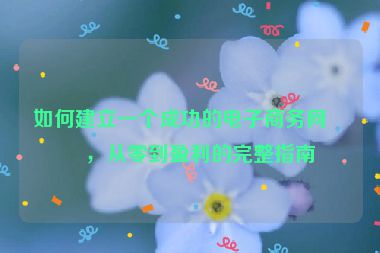 如何建立一個(gè)成功的電子商務(wù)網(wǎng)站，從零到盈利的完整指南