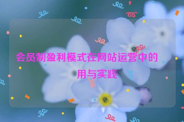 會員制盈利模式在網(wǎng)站運營中的應(yīng)用與實踐