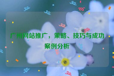 廣州網(wǎng)站推廣，策略、技巧與成功案例分析