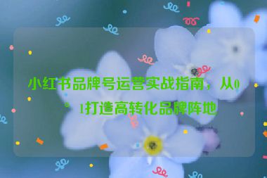 小紅書品牌號運營實戰(zhàn)指南，從0到1打造高轉(zhuǎn)化品牌陣地