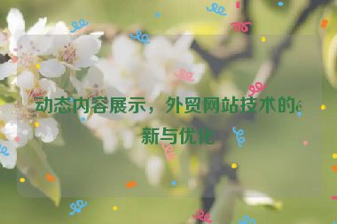 動態(tài)內(nèi)容展示，外貿(mào)網(wǎng)站技術(shù)的革新與優(yōu)化