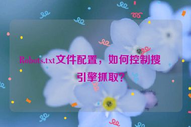 Robots.txt文件配置，如何控制搜索引擎抓取？