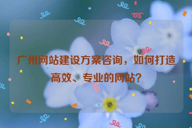 廣州網(wǎng)站建設(shè)方案咨詢，如何打造高效、專業(yè)的網(wǎng)站？